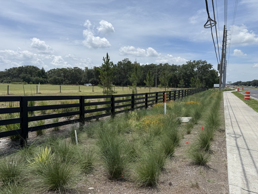 Long black fence beside a sidewalk and roadway