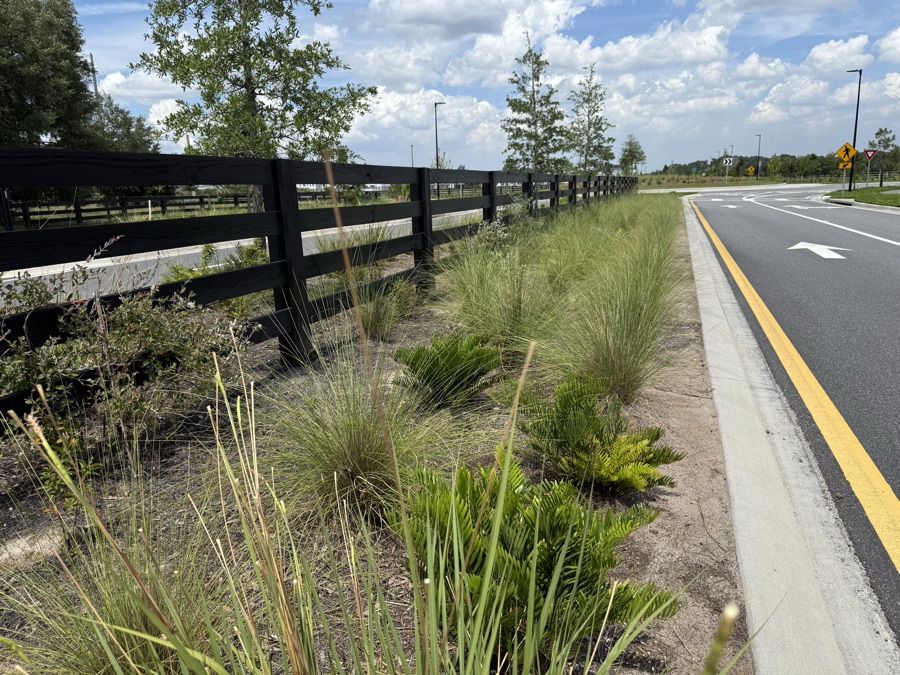 Finished black fence along a curved roadside