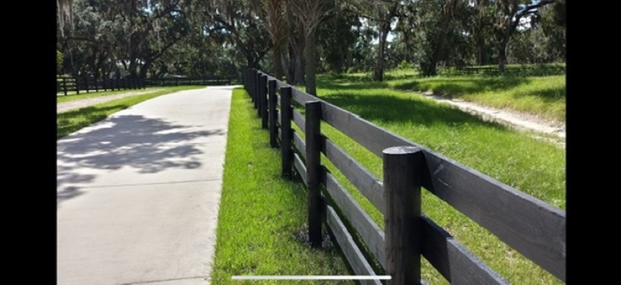 Black painted fence beside a tree-lined driveway
