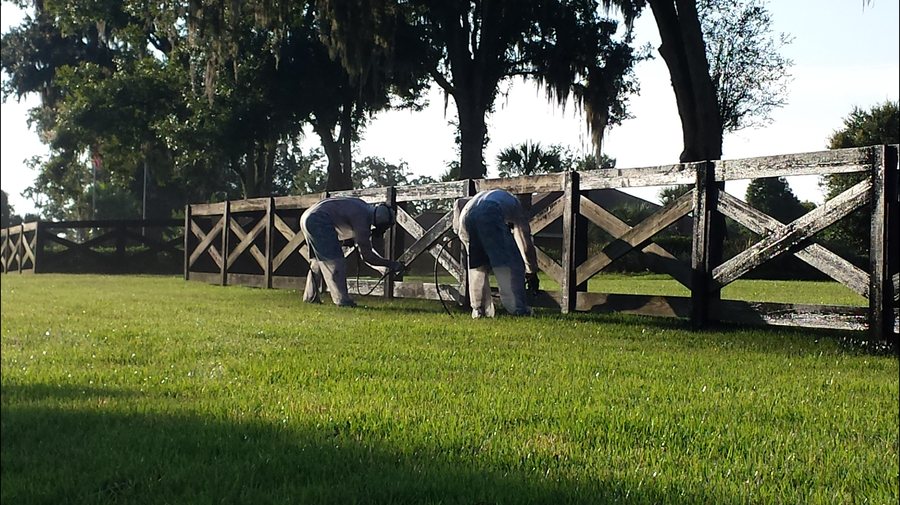 Fence painting project photo - fence painting gallery 11