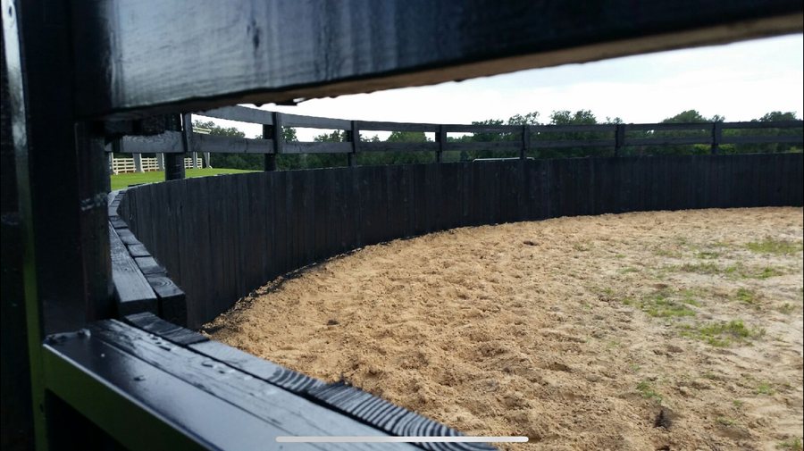 Fence painting project photo - fence painting gallery 21