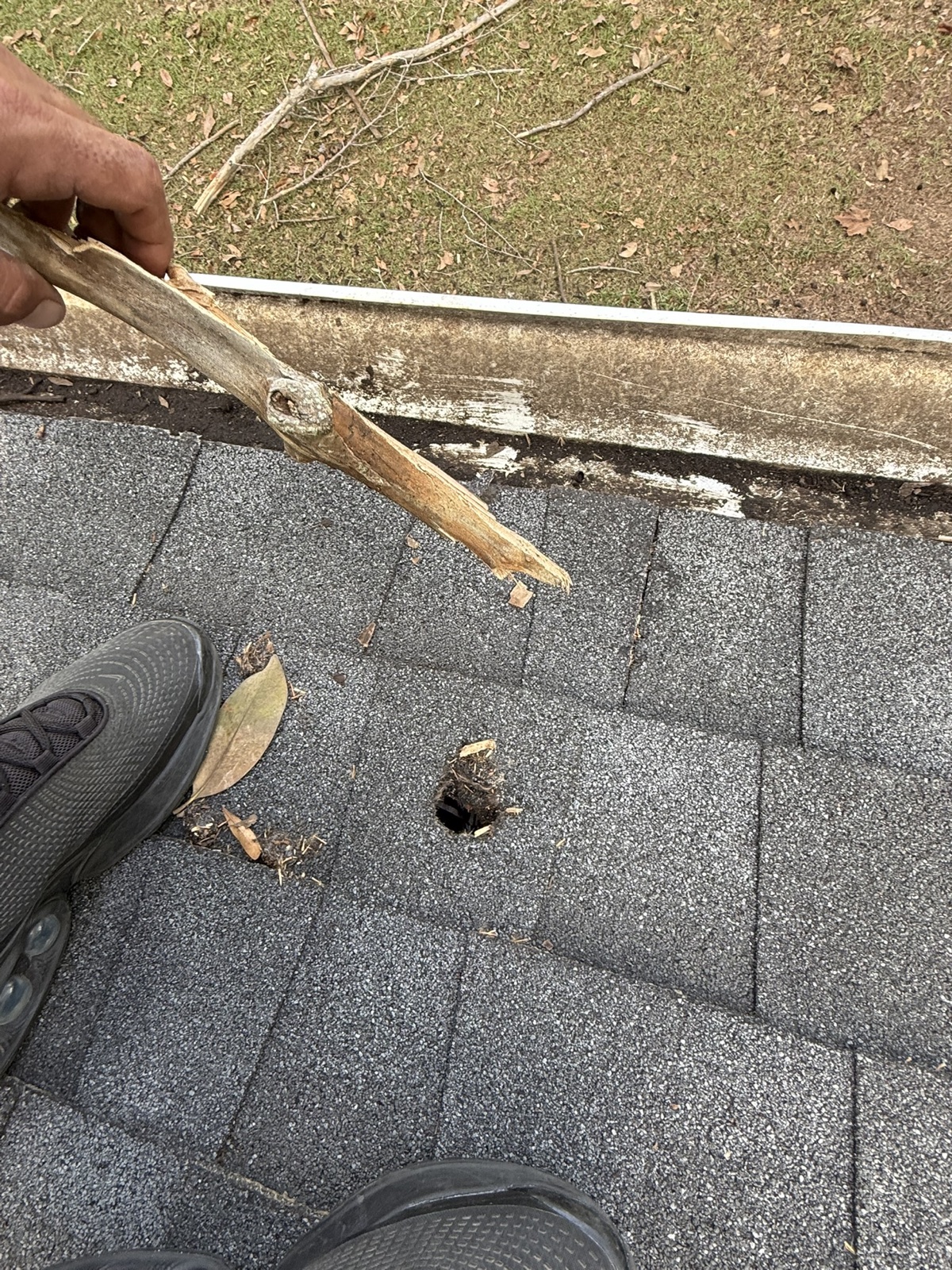 Branch impact hole near a roof gutter