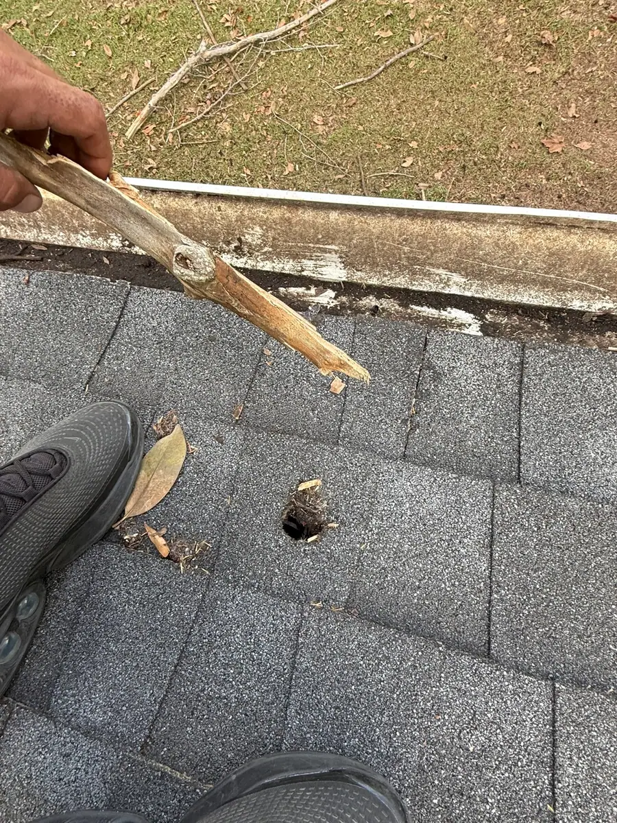 Branch impact hole near a roof gutter