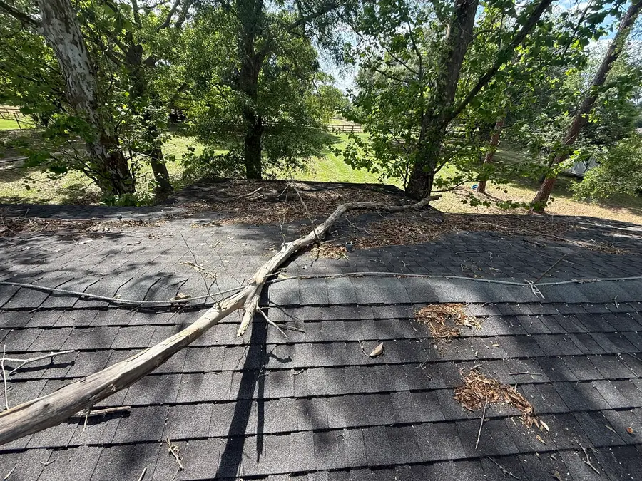 Large fallen limb across a shingle roof