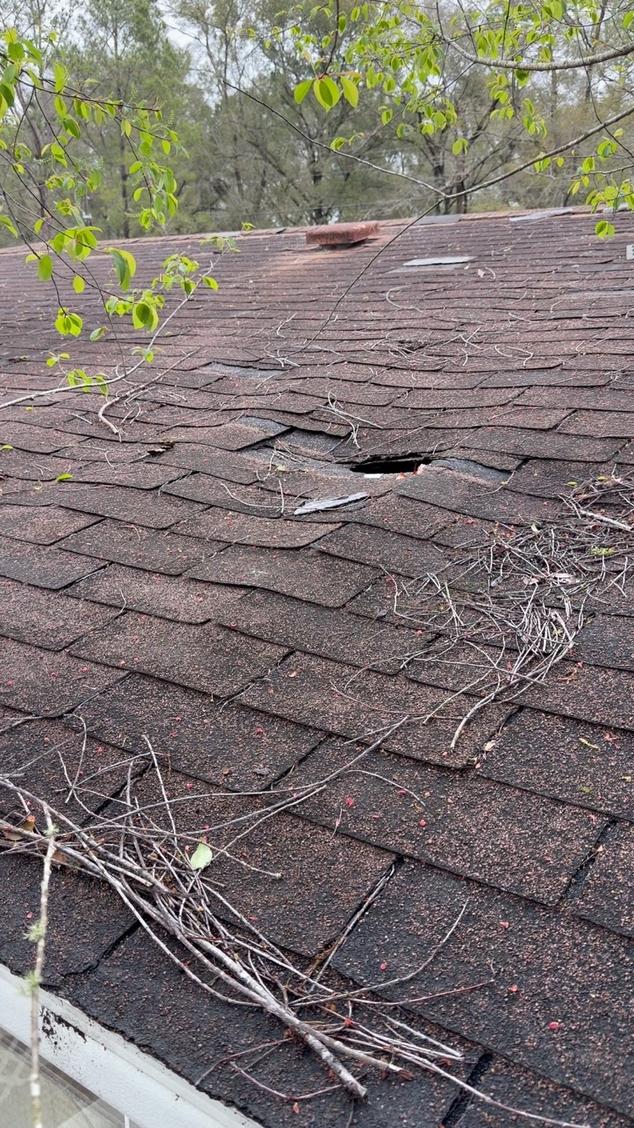 Roof puncture with branches and storm debris